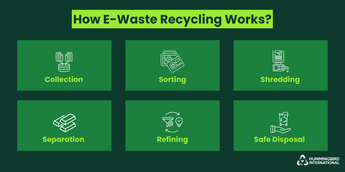 E-waste recycling steps from collection to safe disposal.