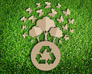 Paper cutouts of trees and recycle symbol on green grass.