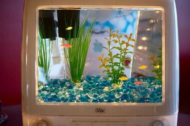 Old Monitor Aquarium Old Monitor Aquarium