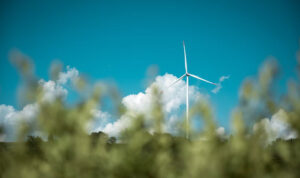 Business Eco-Friendly