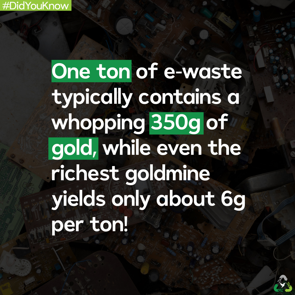 DidYouKnow DidYouKnow