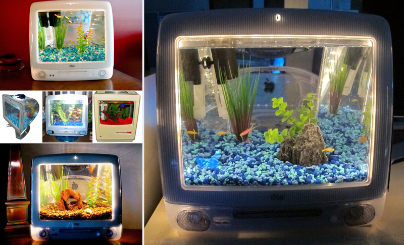 Into a Fish Tank Into a Fish Tank