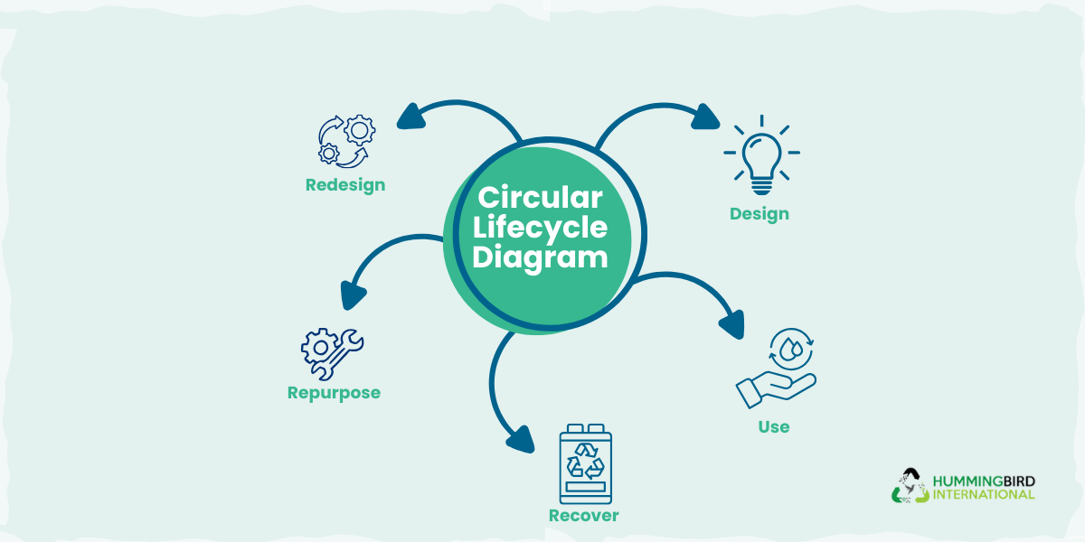 Circular Lifecycle Diagram
