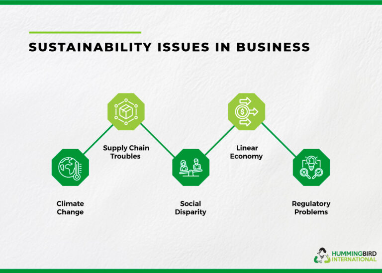 Evolution of Sustainability Practices: Complete Overview