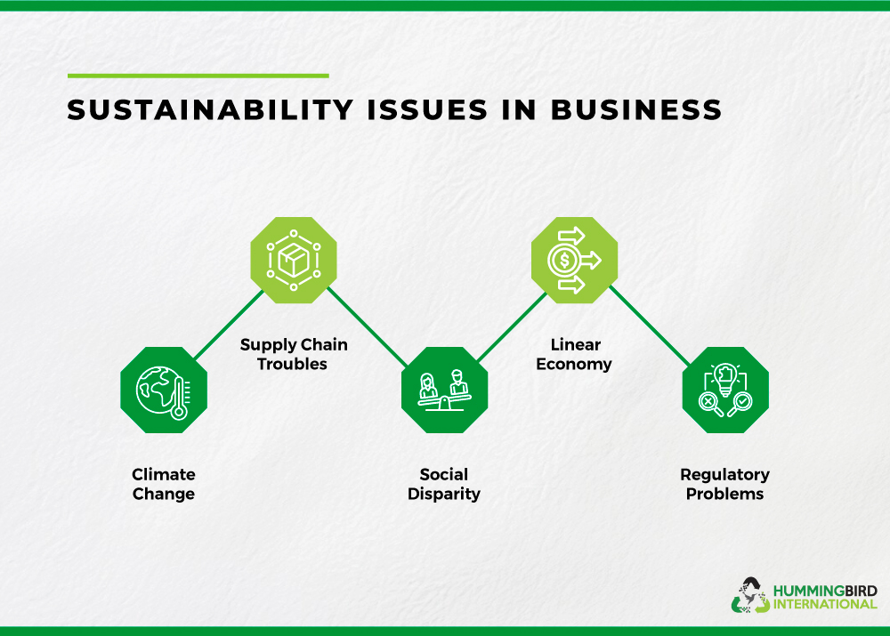 Sustainability Practices in Business