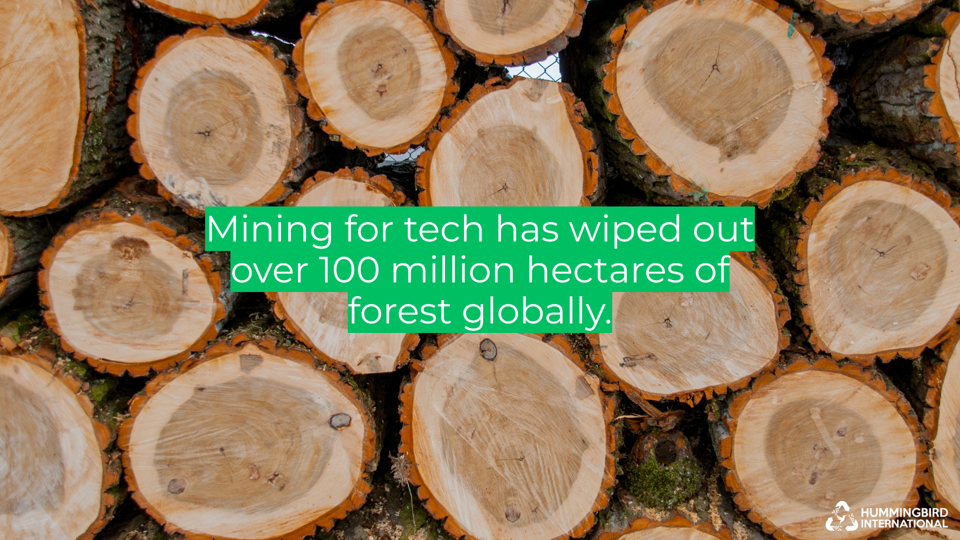 Tech Mining Drives Massive Deforestation