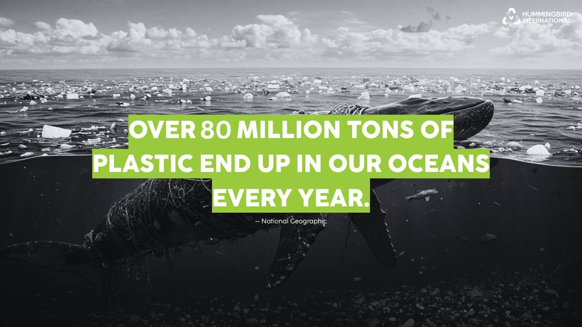 National Geographic Quote Plastic Recycling