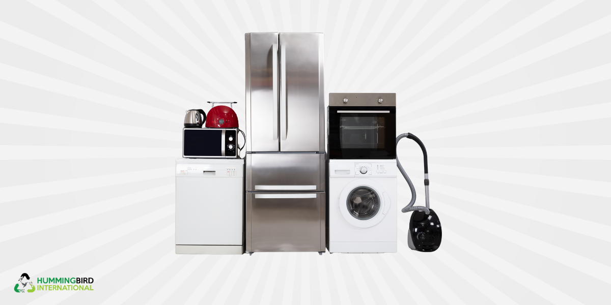 1950s–1960s: The Birth of Home Electronics